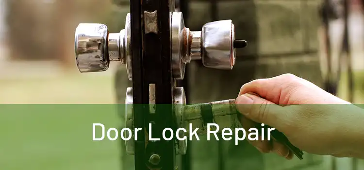 Door Lock Repair