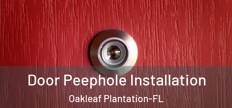Door Peephole Installation Oakleaf Plantation-FL