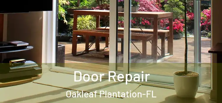 Door Repair Oakleaf Plantation-FL