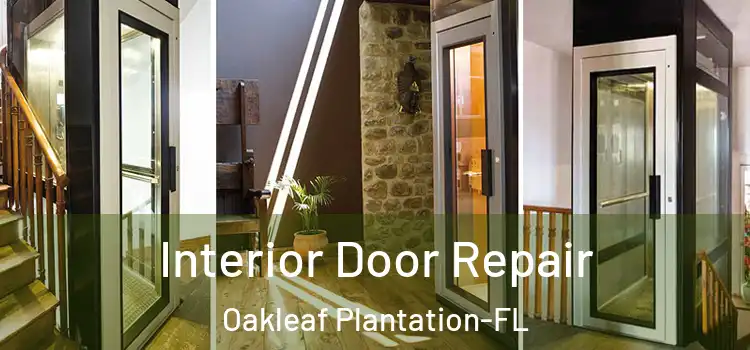Interior Door Repair Oakleaf Plantation-FL