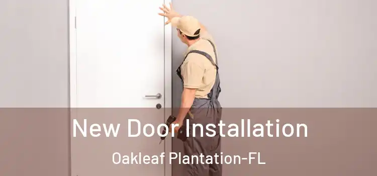 New Door Installation Oakleaf Plantation-FL