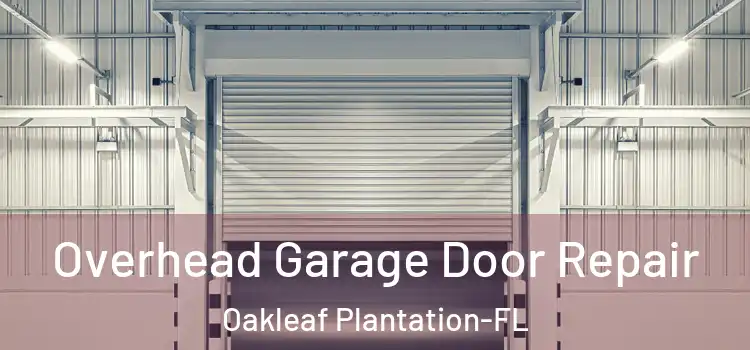 Overhead Garage Door Repair Oakleaf Plantation-FL