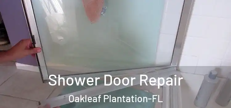 Shower Door Repair Oakleaf Plantation-FL