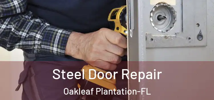 Steel Door Repair Oakleaf Plantation-FL