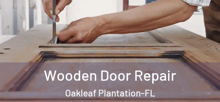 Wooden Door Repair Oakleaf Plantation-FL